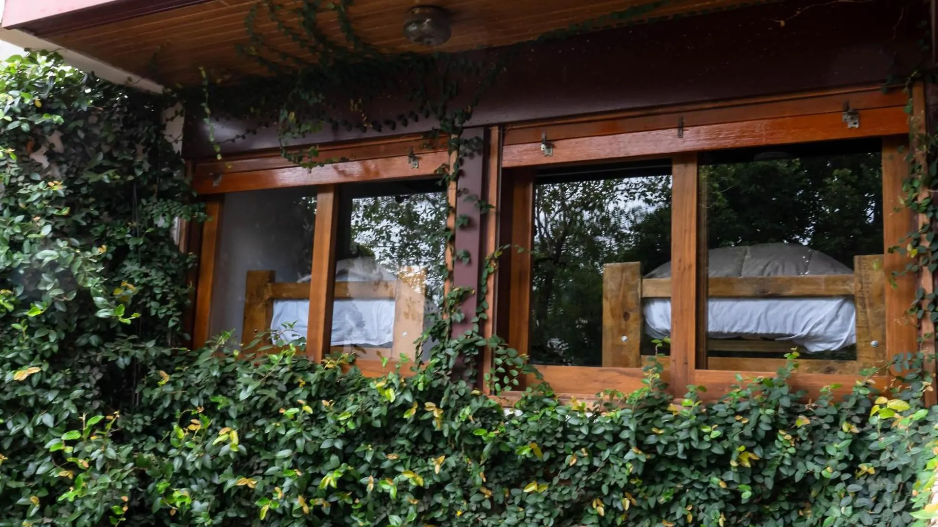Penzion Hostel Casa Roble Mendoza Argentina